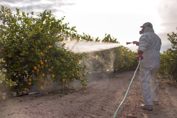 Best Insect Control  in Riesel, TX