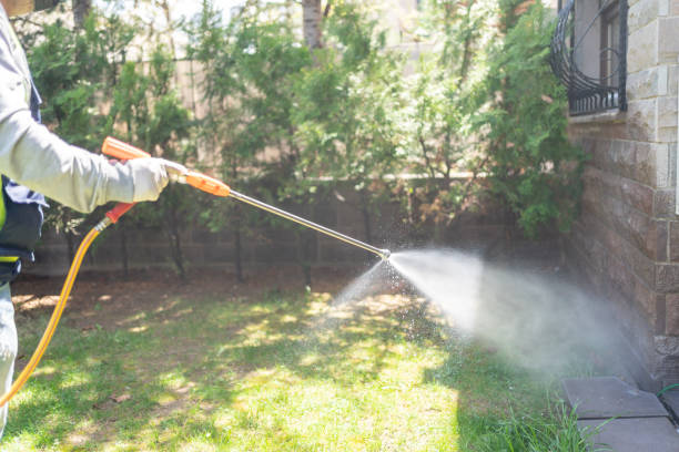 Best Insect Control  in Riesel, TX