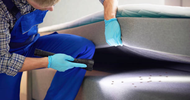 Best Cockroach Control Services  in Riesel, TX