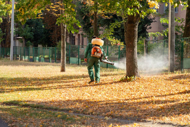 Best Best Pest Control Companies  in Riesel, TX
