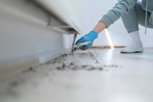 Best Affordable Pest Control Services  in Riesel, TX