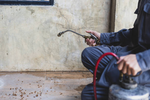 Trusted Riesel, TX Pest Control Experts